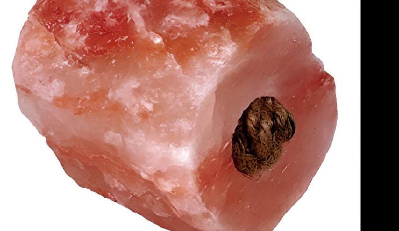 Imagen principal del artículo 'Las mejores opciones de sal rosada para animales, con múltiples tamaños y presentaciones'