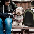 Encuentra el mejor Transportín para perro