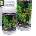 Los mejores fertilizantes para tus plantas