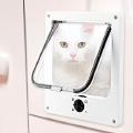 Los mejores modelos de gateras para tu gato